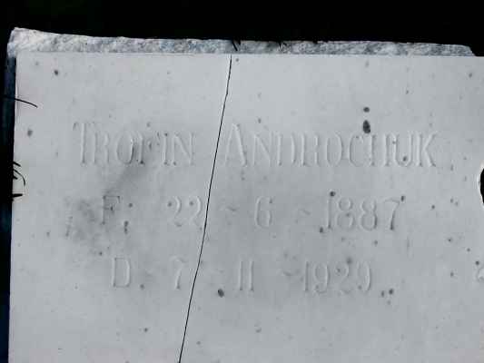 Detail of Grave of ANDROCHUK, Trofin