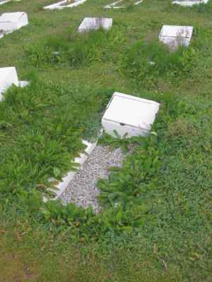 Grave of OLSEN, Yngve