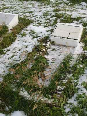 Grave of SALVINI, Luis