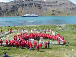 Visitors from a Cruise Ship visit the Grytviken cemetery.
