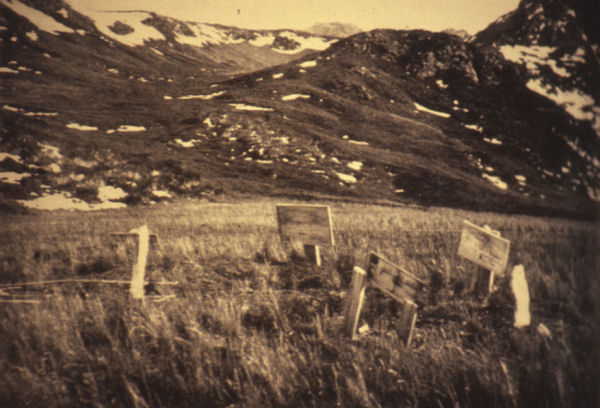 Grytviken graves by Gösta Bodman 1902