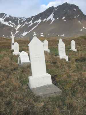 Grave of JOHANSEN, Herman