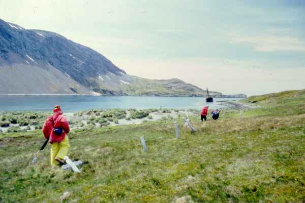 Ocean Harbour cemetery with the wreck of the Bayard in the background