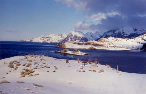 Prince Olav Harbour cemetery
