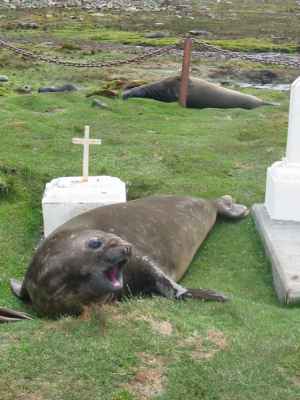 Unknown Grave at Stromness